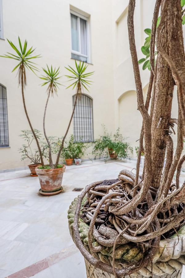 Chic&Luminoso-Wifiac/Elegant Apt In Salvador 2 Br Sevilla Exteriör bild